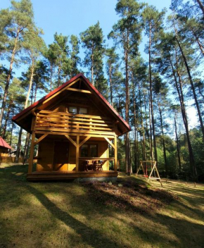 Domek pełen szczęścia, Borsk